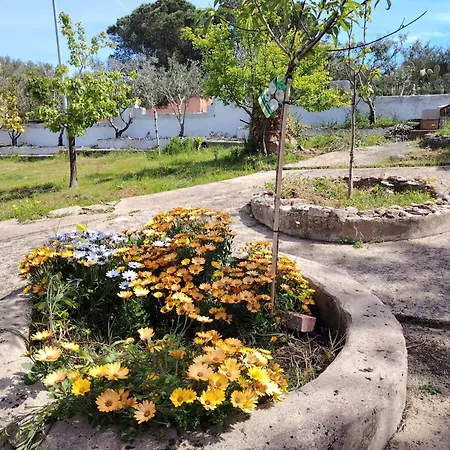 בית נופש House In Beatrice Con Jacuzzi Privata Porto Istana