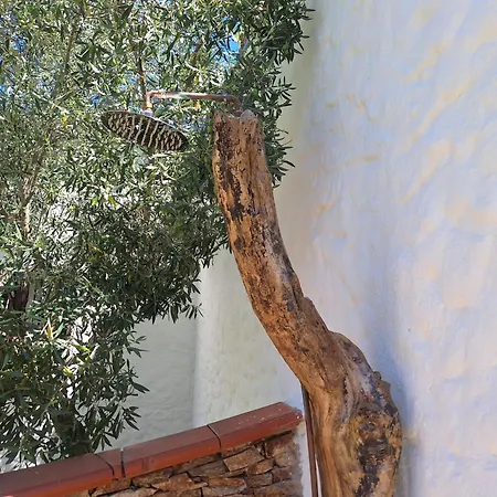Tatil Evi House In Beatrice
