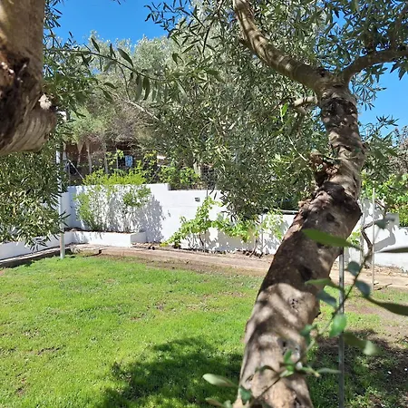 Tatil Evi House In Beatrice Porto Istana