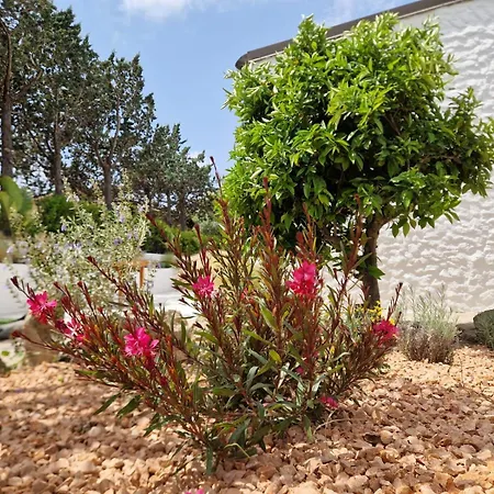 Casa vacanze House In Beatrice Con Jacuzzi Privata