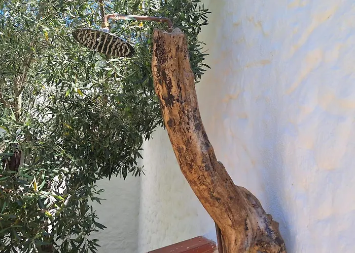 Semesterbostad House In Beatrice